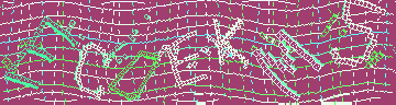 CAPTCHA 認証コード