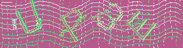 CAPTCHA 認証コード