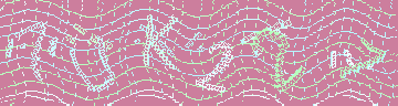 CAPTCHA 認証コード