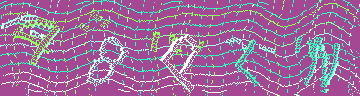 CAPTCHA 認証コード