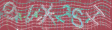 CAPTCHA 認証コード
