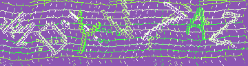 CAPTCHA 認証コード