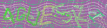 CAPTCHA 認証コード