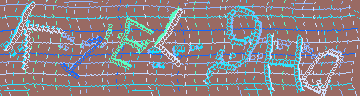 CAPTCHA 認証コード