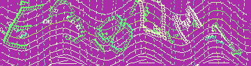 CAPTCHA 認証コード