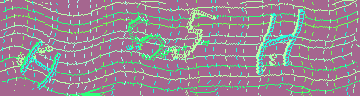 CAPTCHA 認証コード