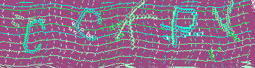CAPTCHA 認証コード