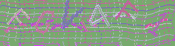 CAPTCHA 認証コード