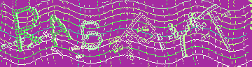 CAPTCHA 認証コード