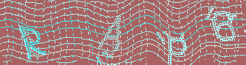 CAPTCHA 認証コード